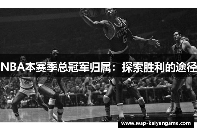 NBA本赛季总冠军归属：探索胜利的途径