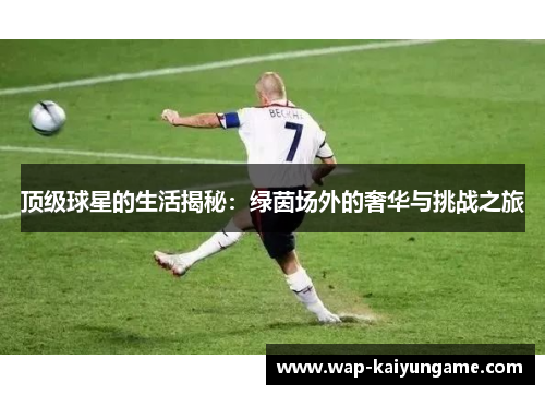 顶级球星的生活揭秘：绿茵场外的奢华与挑战之旅