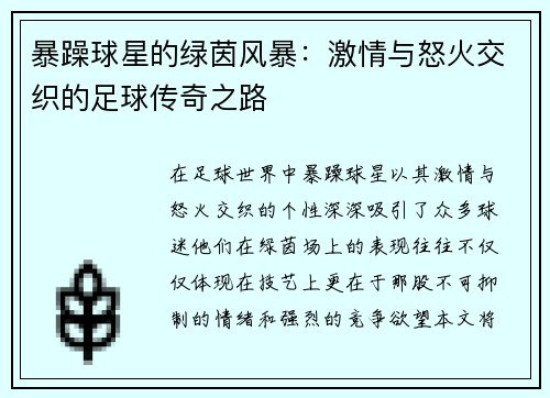 暴躁球星的绿茵风暴：激情与怒火交织的足球传奇之路