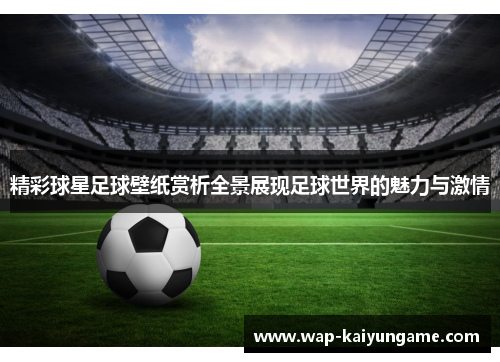 精彩球星足球壁纸赏析全景展现足球世界的魅力与激情