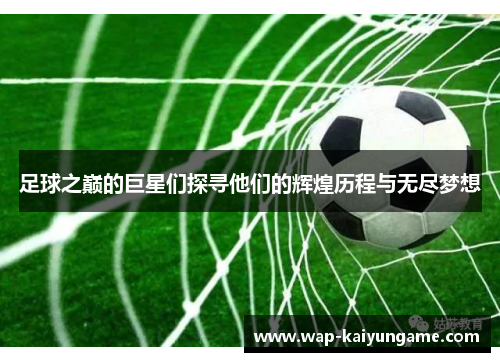 足球之巅的巨星们探寻他们的辉煌历程与无尽梦想